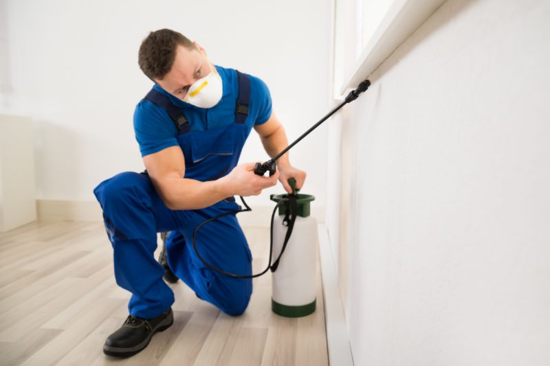 Bug And Insect Prevention Strategies