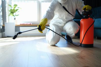 Bug And Insect Prevention Strategies