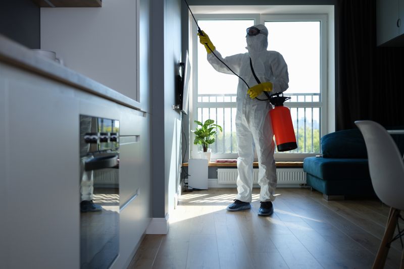 Bug And Insect Prevention Strategies