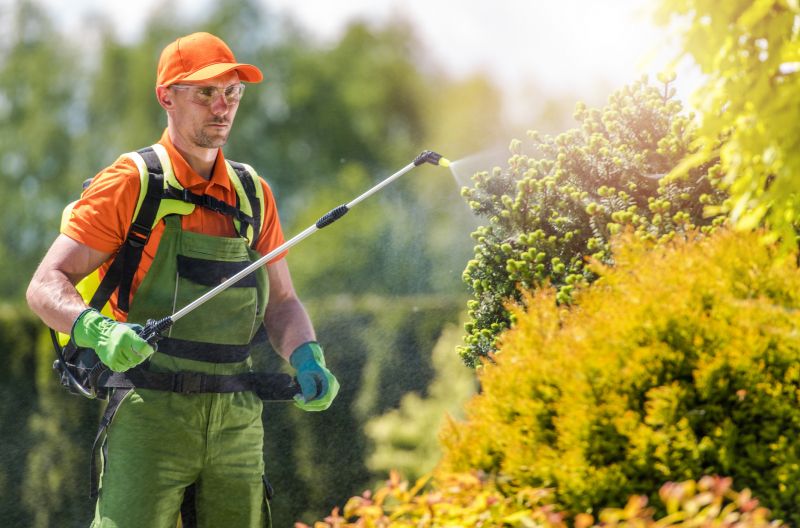 Common Pests That Invade Homes