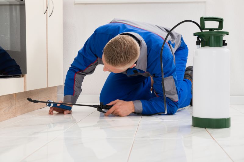 Preventing Spring Bug And Insect Infestations