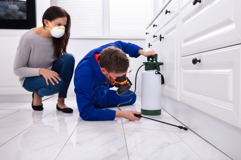 Preventing Spring Bug And Insect Infestations