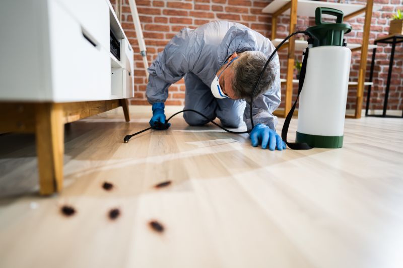 Preventing Spring Bug And Insect Infestations