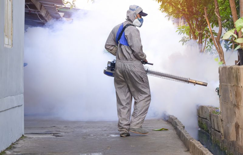Spring Mosquito And Fly Control Solutions For Commercial Properties