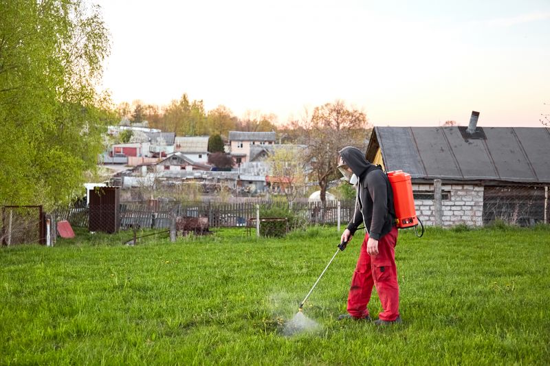 Spring Pest Management For Bug And Insect Control